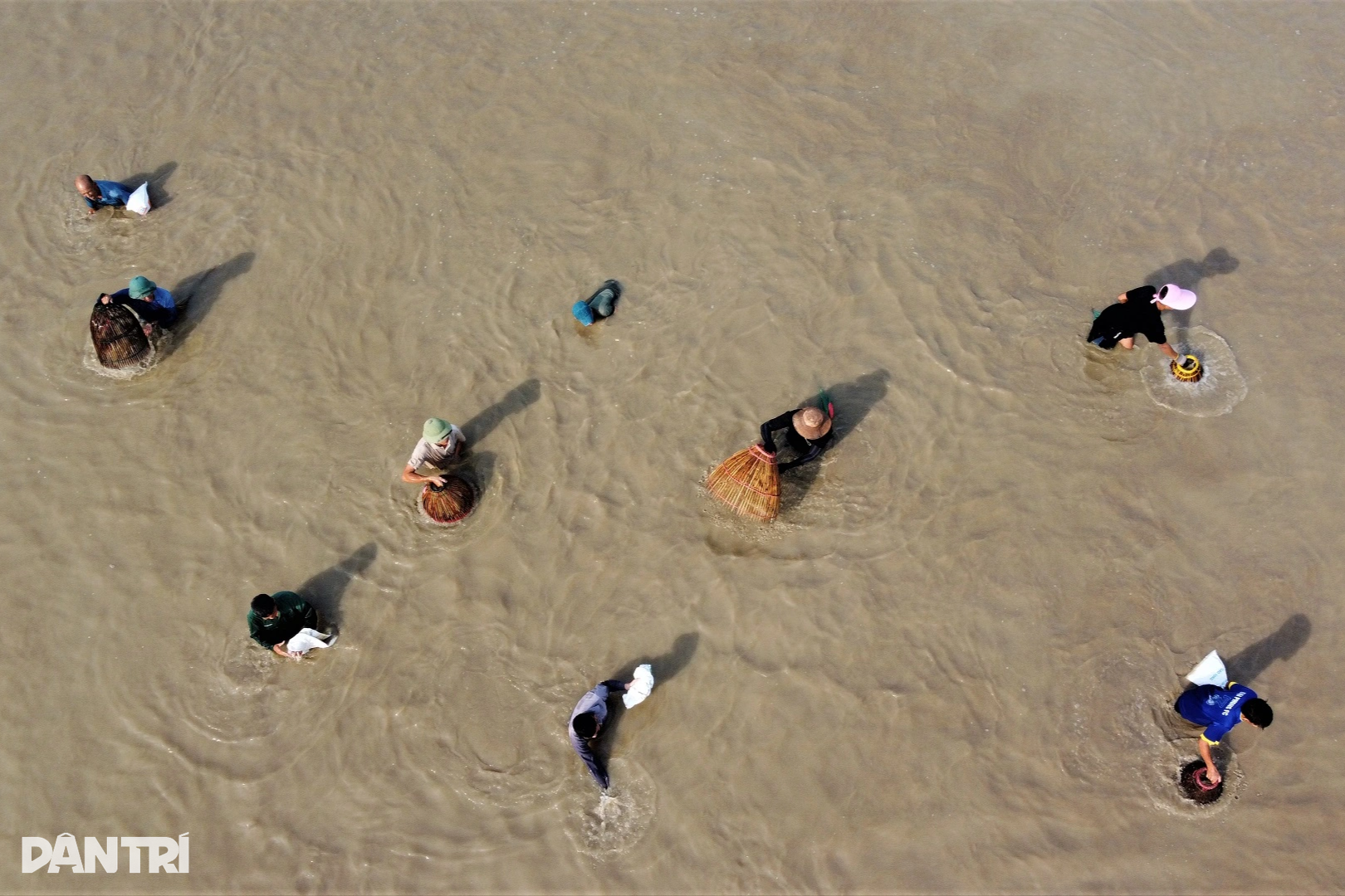 ពលរដ្ឋសម្រុកទិញសំបុត្រចូលរួមប្រកួតចាប់ត្រីម្ចាស់បឹងបានជិតដប់លានដុង - 6 Dân phố lũ lượt mua vé thi nhau nơm cá, chủ hồ thu gần chục triệu đồng - 6