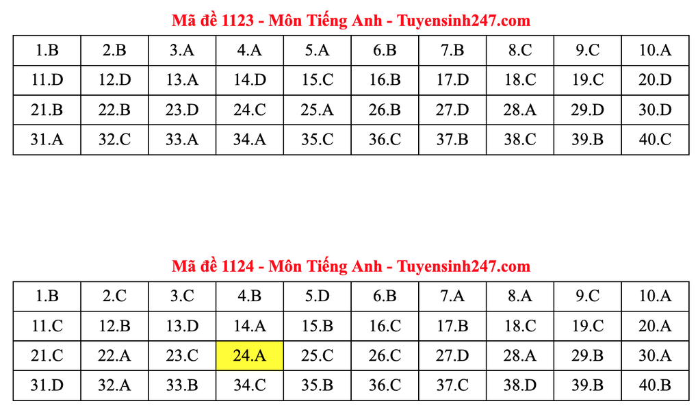 Gợi ý đáp án tiếng Anh thi tốt nghiệp 2025: Mã đề từ 1117 đến 1132 - 5 Gợi ý đáp án tiếng Anh thi tốt nghiệp 2025: Mã đề từ 1117 đến 1132 - 5