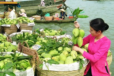 Vietravel xúc tiến thị trường du lịch miền Tây