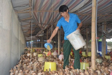 Quảng Trị chuyển đổi sinh kế cho 16 xã vùng biển ảnh hưởng Formosa