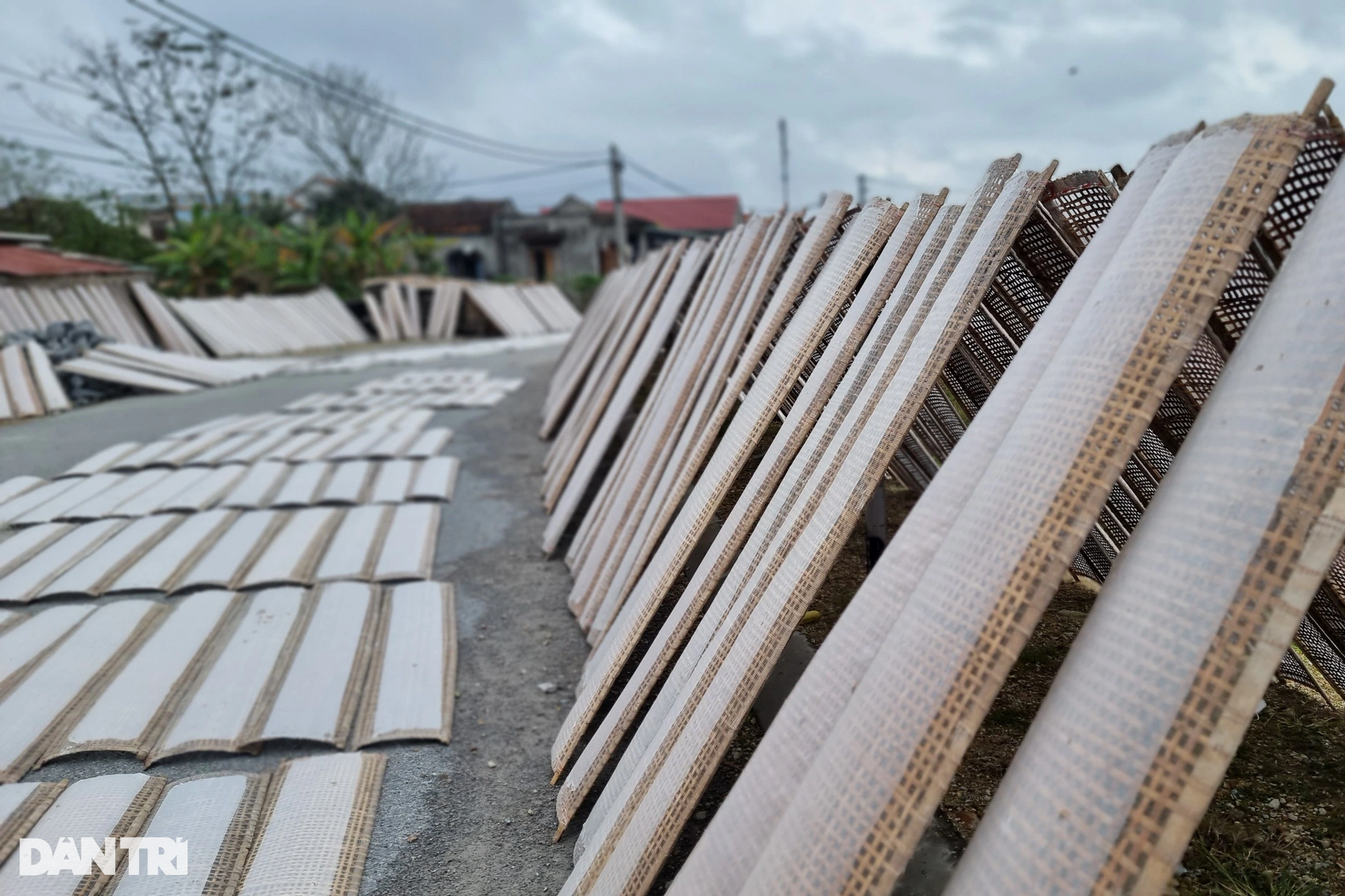 Huy động cả làng làm bánh tráng từ sáng đến khuya để phục vụ Tết - 2 Huy động cả làng làm bánh tráng từ sáng đến khuya để phục vụ Tết - 2