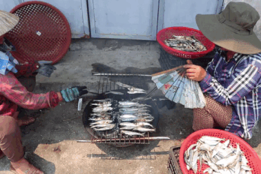 Phụ nữ làng biển mướt mồ hôi nướng cá bên bếp lửa giữa trưa 39 độ C