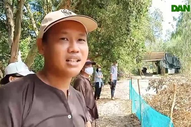 Dỡ chà bắt chuột đồng ở miền Tây