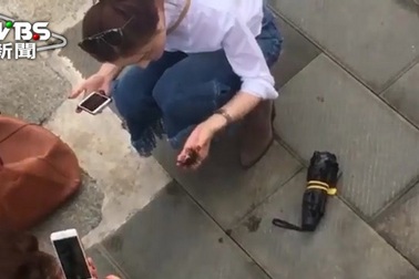 Du khách Trung Quốc gây phẫn nộ vì bắt nhím biển ở Italy