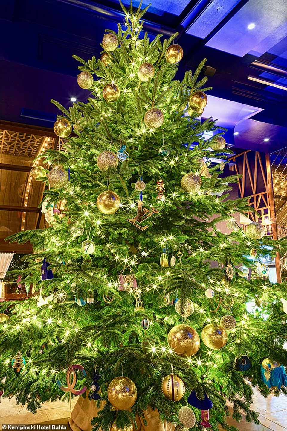 Chiêm ngưỡng cây thông Noel đắt nhất thế giới trị giá hơn 367 tỷ đồng - 5 Chiêm ngưỡng cây thông Noel đắt nhất thế giới trị giá hơn 367 tỷ đồng - 5