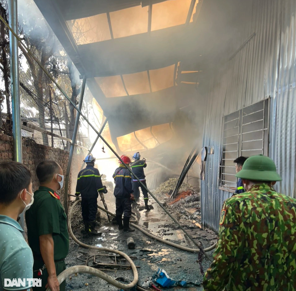 Cháy kho thiết bị bể cá ở Hà Nội - 3