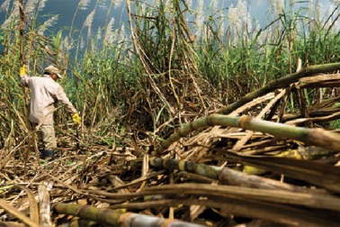 Hoàng Anh Gia Lai: Bao giờ đến ngày thái lai?