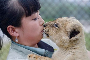 9X trở thành “cô nuôi dạy hổ” đích thực