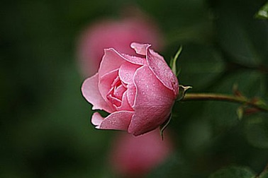 Kỷ niệm đẹp của một nữ hướng dẫn viên du lịch