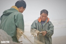 Trúng đậm con "lắm đạm" gần bờ, ngư dân gỡ mỏi tay