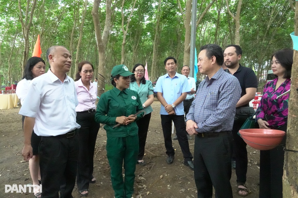 Đoàn công tác Bộ Nội vụ nắm bắt an toàn vệ sinh lao động tại Vũng Tàu - 6 Đoàn công tác Bộ Nội vụ nắm bắt an toàn vệ sinh lao động tại Vũng Tàu - 6