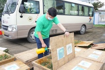 Cứu hộ số lượng lớn động vật hoang dã nhóm nguy cấp, quý hiếm