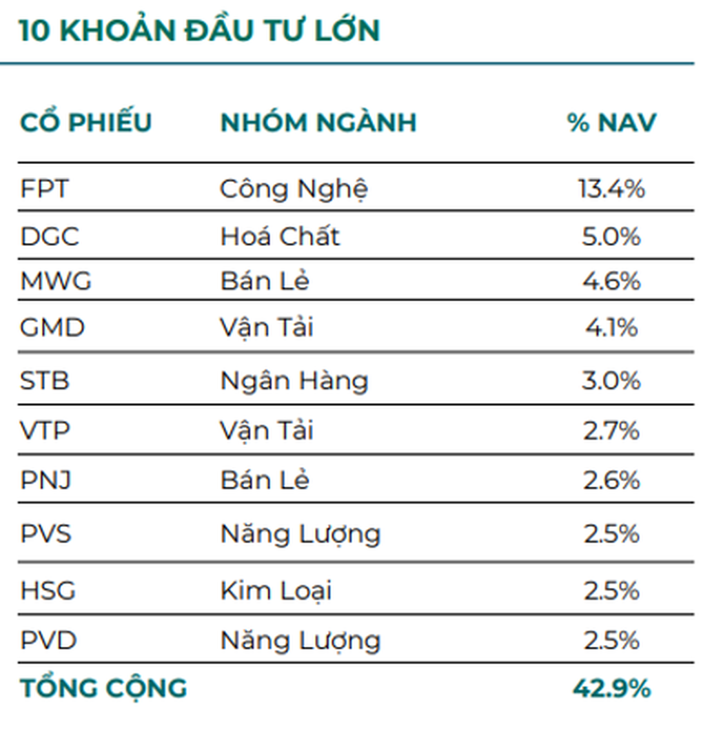 Một quỹ thuộc Dragon Capital công bố hiệu suất cao gấp đôi chỉ số VN-Index - 4 Một quỹ thuộc Dragon Capital công bố hiệu suất cao gấp đôi chỉ số VN-Index - 4