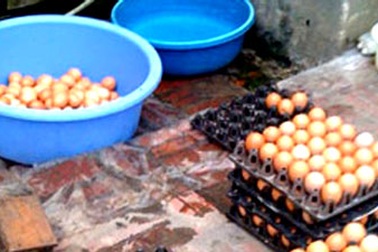 Thu giữ trứng gà không có xuất xứ