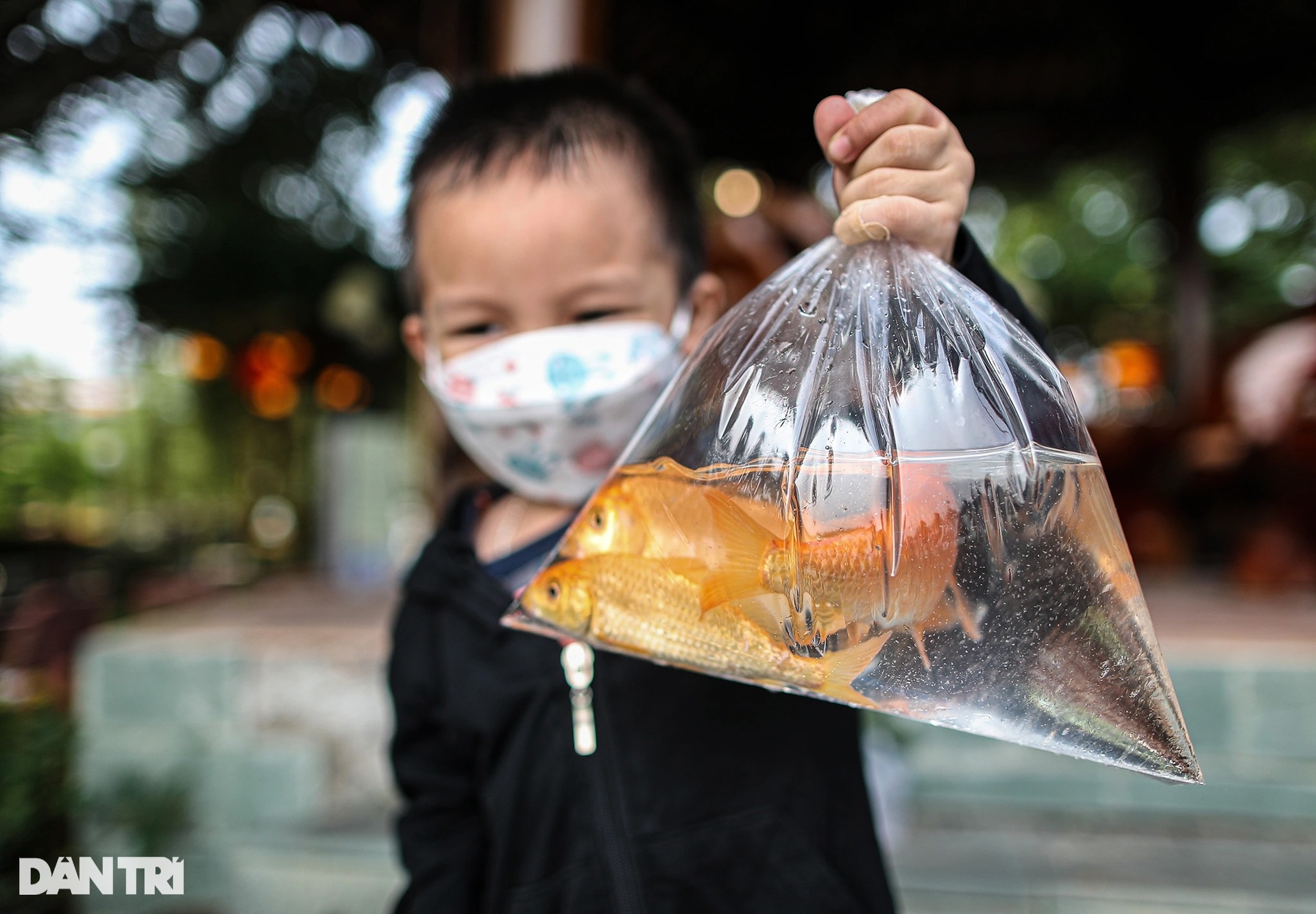 Người dân thuê thuyền ra giữa sông Sài Gòn thả cá tiễn ông Táo - 14