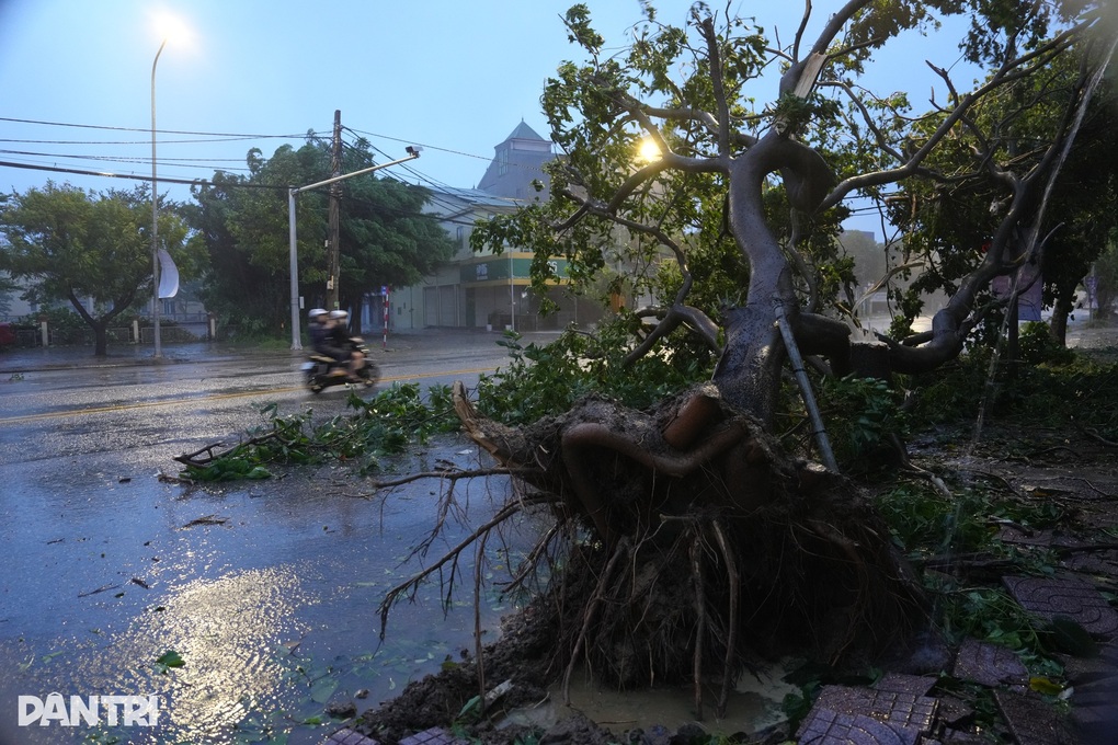 Bão Kajiki suy yếu thành áp thấp nhiệt đới - 2 Bão Kajiki suy yếu thành áp thấp nhiệt đới - 2