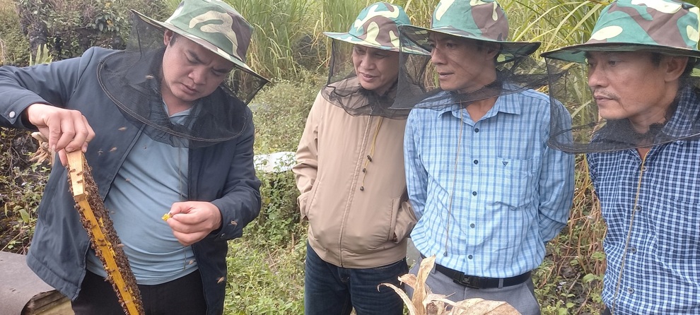 Hợp tác xã - trụ cột vững chắc trong xây dựng nông thôn mới - 1