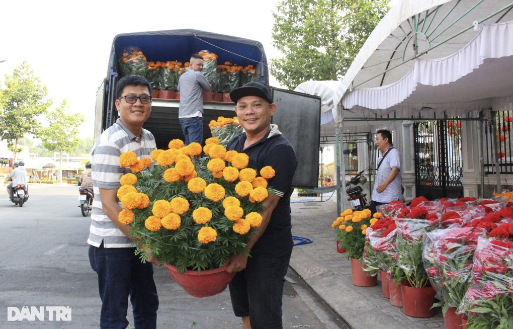 Hoa miền Tây đổ về Bình Dương phục vụ Tết Nguyên đán - 4 Hoa miền Tây đổ về Bình Dương phục vụ Tết Nguyên đán - 4