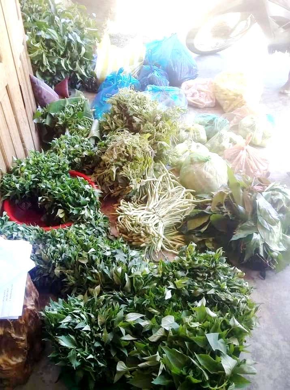 Đồng bào vùng cao góp rau củ quả, hướng về đồng bằng cùng chống dịch - 3 Đồng bào vùng cao góp rau củ quả, hướng về đồng bằng cùng chống dịch - 3