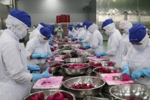 Nhiều doanh nghiệp ngưng hoạt động, mất liên lạc sau khi nợ bảo hiểm