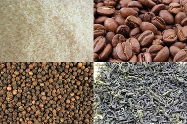 Điểm yếu cốt tử của nông sản Việt Nam là chất lượng thấp