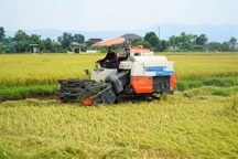 Thêm một người dân ở Hà Tĩnh bị sét đánh tử vong