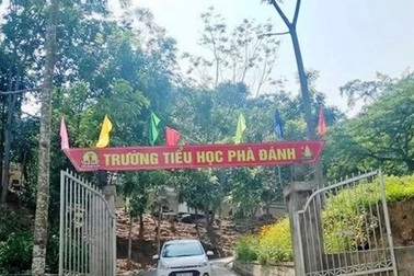 Hiệu phó xin nghỉ công tác để đi… cai nghiện