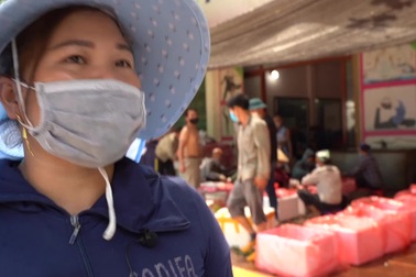 Bắc Giang: Nông dân Lục Ngạn nhộn nhịp đi bán vải thiều sớm