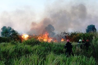 Hiểm họa khôn lường từ những vụ cháy cỏ 