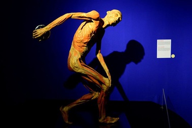 Tạm ngừng hoạt động triển lãm “Sự bí ẩn đặc biệt của cơ thể người”