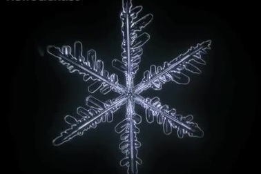 Vẻ đẹp diệu kỳ của bông tuyết trong góc quay chậm