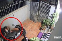 Camera ghi lại cụ ông Hà Nội lọ mọ dắt xe lúc 3h sáng cho cháu gái gây sốt