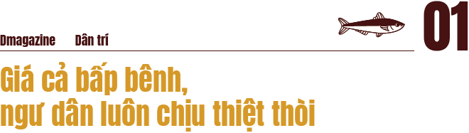 Kỳ vọng về những phiên đấu giá cá ngừ triệu đô ở Phú Yên - 2 Kỳ vọng về những phiên đấu giá cá ngừ triệu đô ở Phú Yên - 2