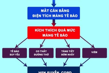 Giải mã hen suyễn, COPD: Nhà khoa học Mỹ tiết lộ phương pháp điều trị mới