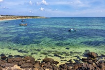 Bình Thuận tổ chức lễ hội chèo sup ở đảo Phú Quý dịp lễ 30/4