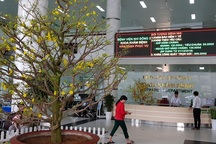 Lập đội “chống thảm họa” sẵn sàng cấp cứu dịp tết