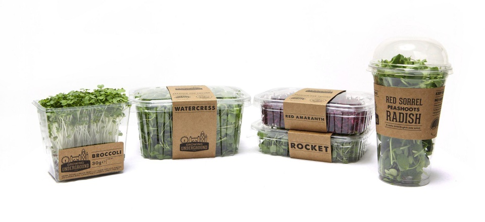 Kinh ngạc nông trại hiện đại ở độ sâu 33m, trồng rau không cần đất - 12