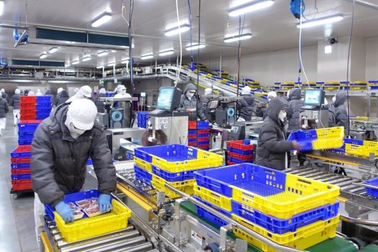 Đài Loan: Mong muốn hợp tác với Việt Nam trong ngành chuỗi lạnh