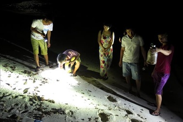 Tới đảo Bé, Lý Sơn trải nghiệm săn cua, còng đêm