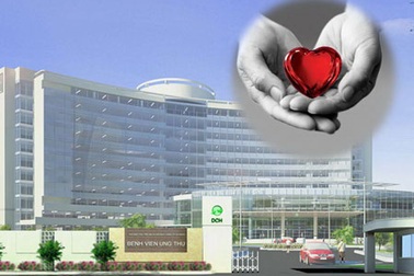 Tìm lại Y đức và sự khoan dung