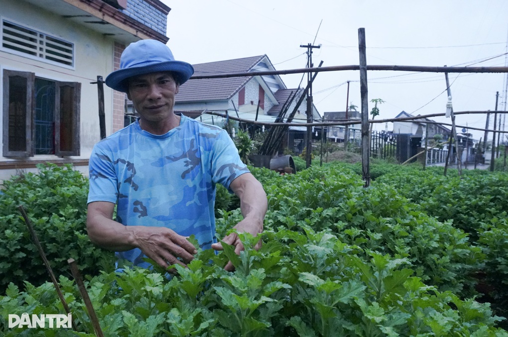 Làng hoa hút hàng trước Tết, người dân chỉ mong gỡ vốn sau bão lũ - 1