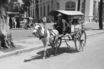 Đã sang thế kỷ 21, vì sao người ta vẫn dùng sức ngựa để đo công suất?