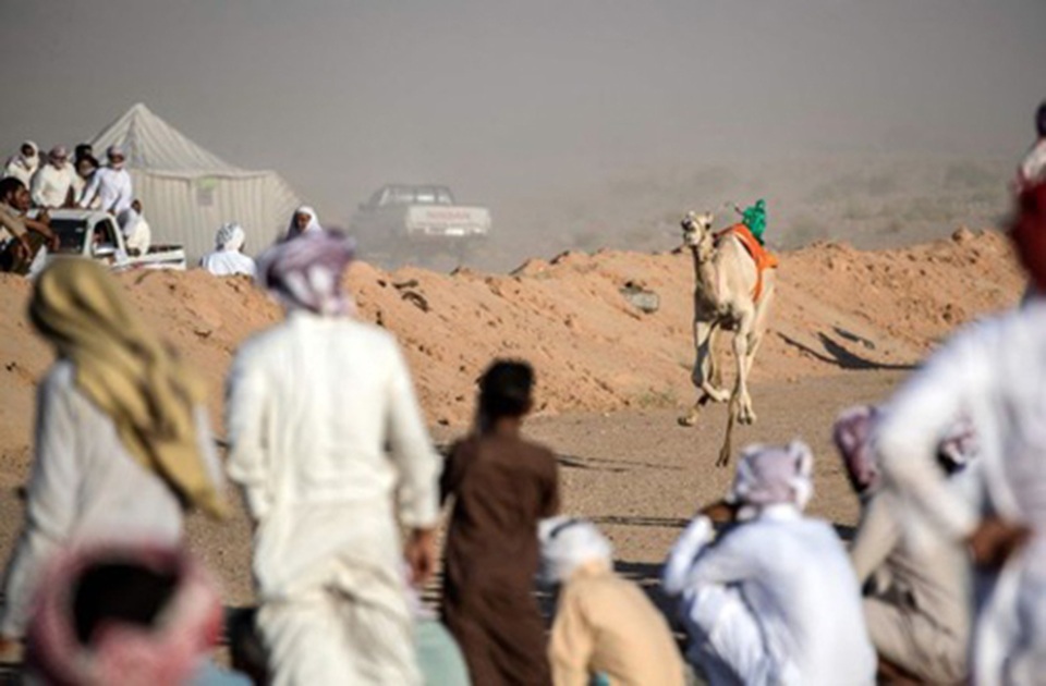 Đường đua các “chiến binh lưng gù” tại Sinai sôi động trở lại - 8