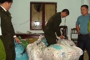 Giao gỗ quý trị giá hàng tỷ đồng cho Chi cục Kiểm lâm