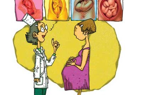 Tìm hiểu về ngôi thai