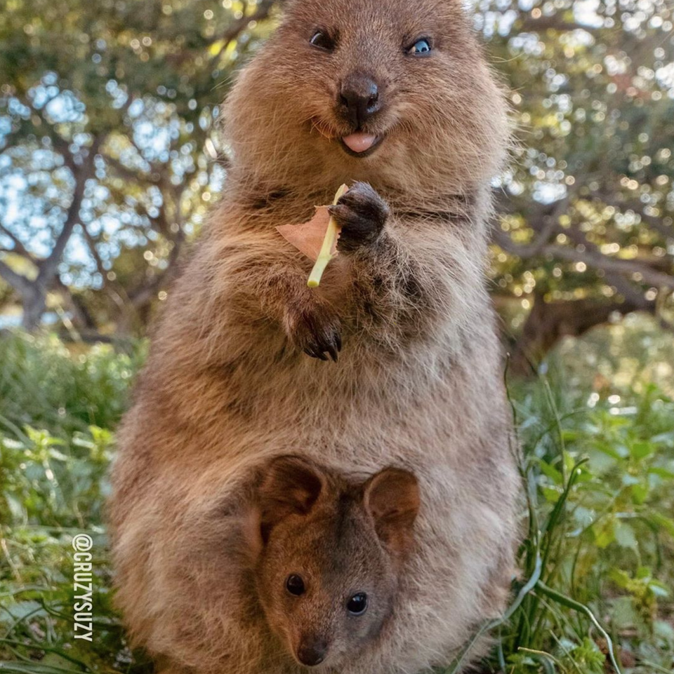 Không gì sánh bằng tình yêu của mẹ - 5