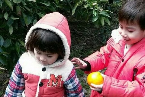 Tìm thấy thi thể con trai cô dâu người Việt trên phà Sewol