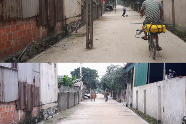 Thở phào khi toàn bộ cột điện nằm giữa đường được di dời