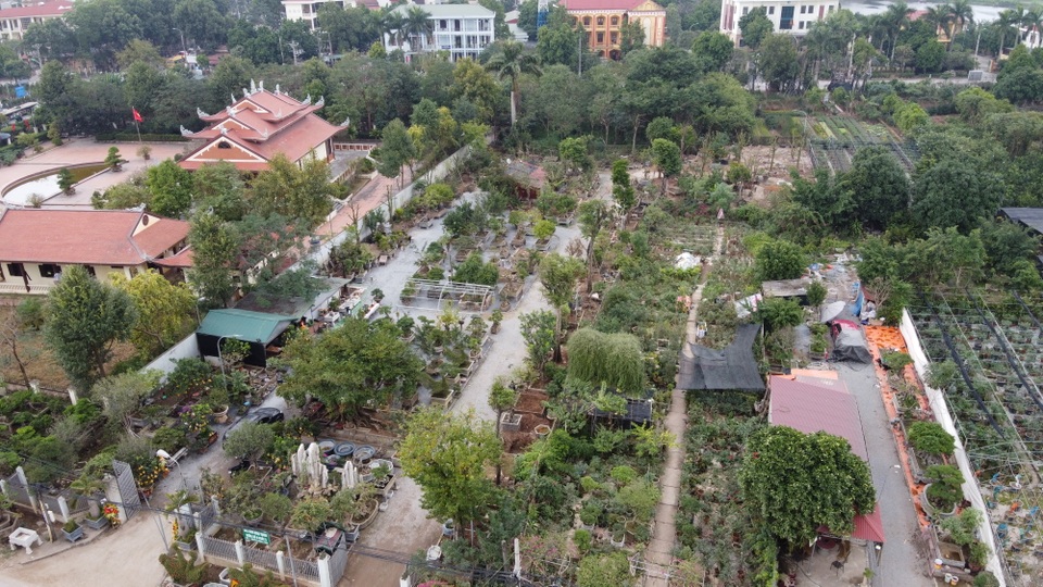 Hoa mắt trước khu vườn triệu đô của ông vua cây cảnh - 1 Hoa mắt trước khu vườn triệu đô của ông vua cây cảnh - 1