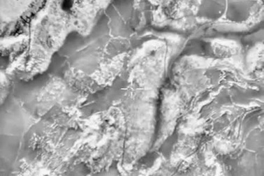 Nga phá hủy một xưởng sản xuất tên lửa của IS